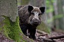 BUITEN BEELD Foto: 169940