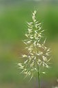 BUITEN BEELD Foto: 169976