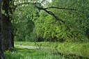 BUITEN BEELD Foto: 170019