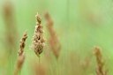 BUITEN BEELD Foto: 170038