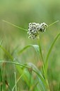 BUITEN BEELD Foto: 170040