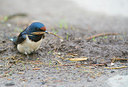 BUITEN BEELD Foto: 170052