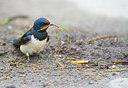 BUITEN BEELD Foto: 170053