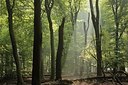 BUITEN BEELD Foto: 170084