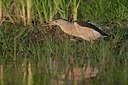 BUITEN BEELD Foto: 170097