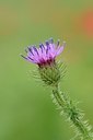 BUITEN BEELD Foto: 170139