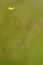 BUITEN BEELD Foto: 170190