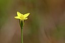 BUITEN BEELD Foto: 170191