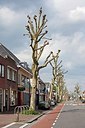 BUITEN BEELD Foto: 170195
