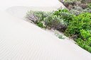 BUITEN BEELD Foto: 170231