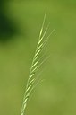 BUITEN BEELD Foto: 170263