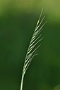 BUITEN BEELD Foto: 170264