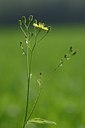 BUITEN BEELD Foto: 170289
