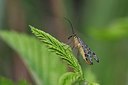 BUITEN BEELD Foto: 170369