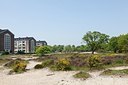 BUITEN BEELD Foto: 170425