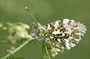 BUITEN BEELD Foto: 170439