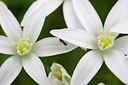 BUITEN BEELD Foto: 170453
