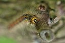 BUITEN BEELD Foto: 170469