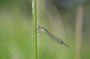 BUITEN BEELD Foto: 170478