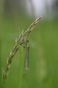 BUITEN BEELD Foto: 170482