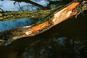 BUITEN BEELD Foto: 170596