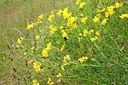 BUITEN BEELD Foto: 170612