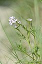 BUITEN BEELD Foto: 170698