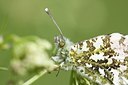BUITEN BEELD Foto: 170865