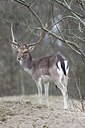 BUITEN BEELD Foto: 170883