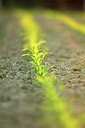 BUITEN BEELD Foto: 170949