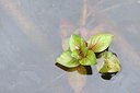 BUITEN BEELD Foto: 170991