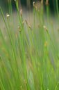 BUITEN BEELD Foto: 171016