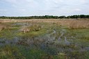 BUITEN BEELD Foto: 171026
