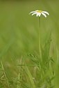 BUITEN BEELD Foto: 171059