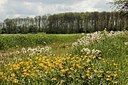 BUITEN BEELD Foto: 171171