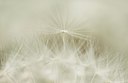 BUITEN BEELD Foto: 171183