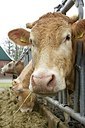 BUITEN BEELD Foto: 171254