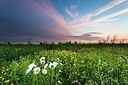BUITEN BEELD Foto: 171294