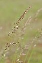 BUITEN BEELD Foto: 171437