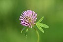 BUITEN BEELD Foto: 171449