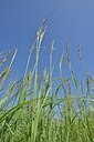 BUITEN BEELD Foto: 171457