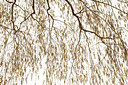 BUITEN BEELD Foto: 171495
