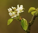 BUITEN BEELD Foto: 171515