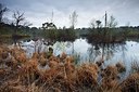 BUITEN BEELD Foto: 171523