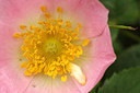 BUITEN BEELD Foto: 171607