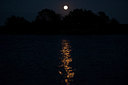 BUITEN BEELD Foto: 171617