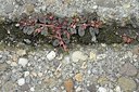 BUITEN BEELD Foto: 171634