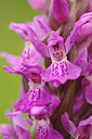 BUITEN BEELD Foto: 171653