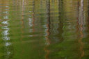 BUITEN BEELD Foto: 171656
