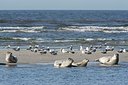 BUITEN BEELD Foto: 171667